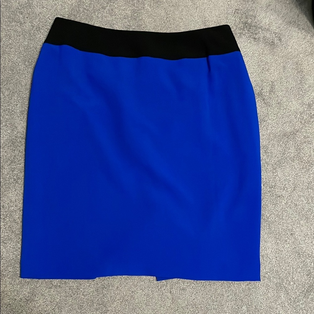 Kasper Stunning Blue and Black Women's Skirt